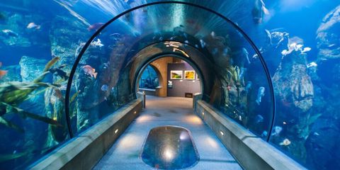 Boise Aquarium.jpg
