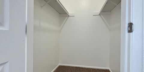 IMG_1927.jpeg