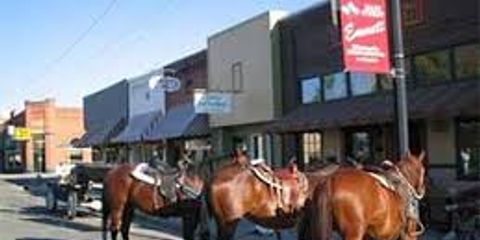 horses downtown.jpg