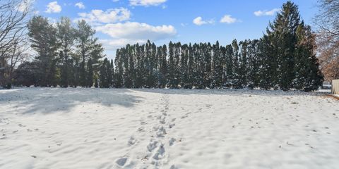 28-179 1245 Michelle CT.jpg