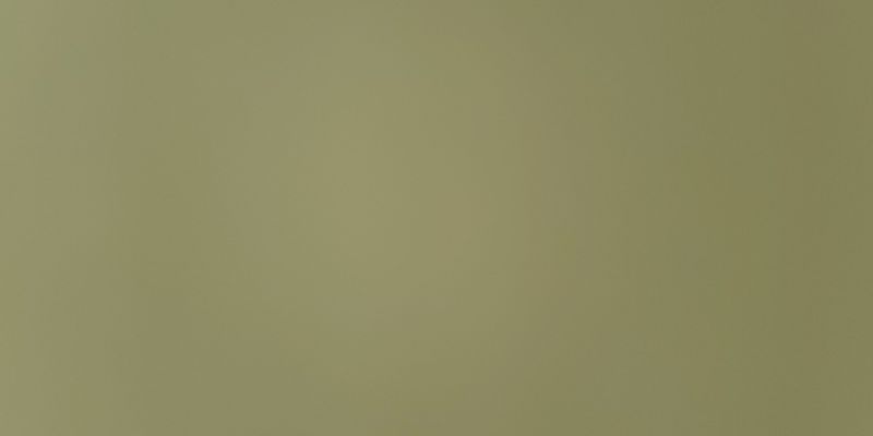 Sumter House: 1016 Jessamine Trail