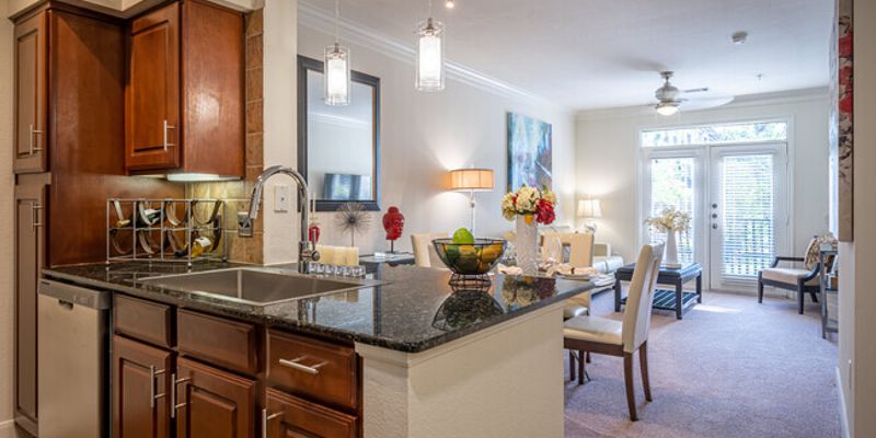 Houston Apartment: 4198 Blossom St