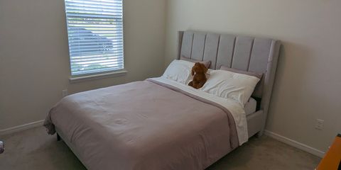 PXL_20250710_173138868.jpg