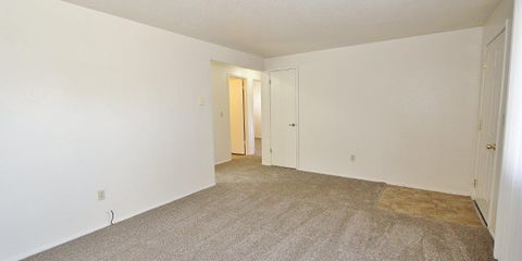 IMG_4118.jpg