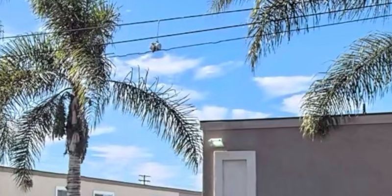 San Diego Apartment: 1054 Outer Rd