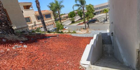 IMG_1968.jpg
