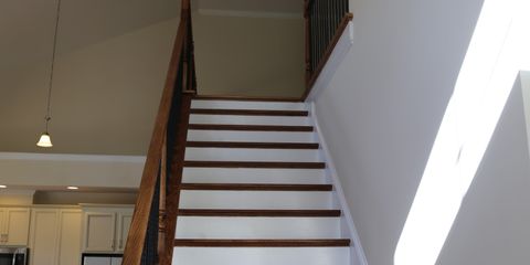 IMG_2506.jpg