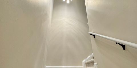 IMG_4662.JPEG