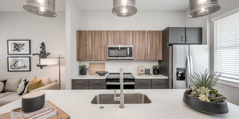 Harris County Apartment: 24843 House Hahl Rd