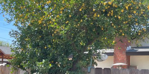 IMG_7402.jpeg