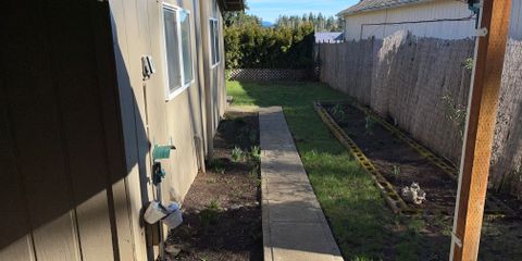 IMG_4556.JPG
