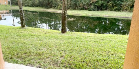 IMG_0359.jpg