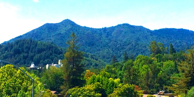 San Anselmo Apartment: 770 Sir Francis Drake Blvd