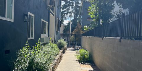 IMG_6011.jpeg