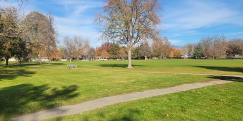 Winstead park.jpg