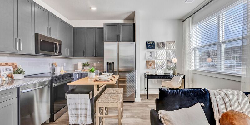 Houston Apartment: 1079 Studemont St
