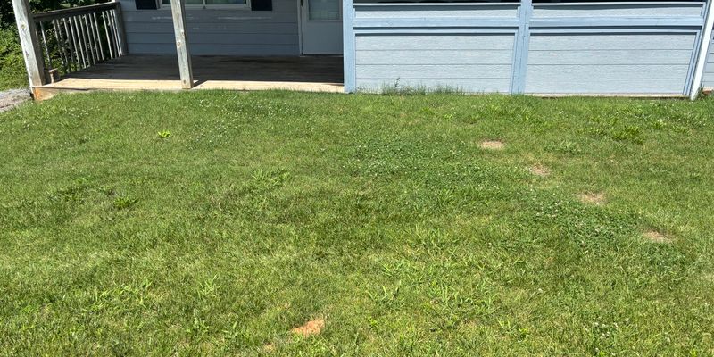 Vinton Apartment: 1057 Ross Rd