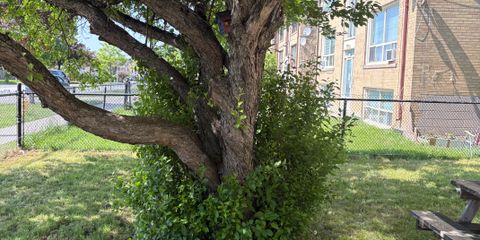 IMG_9578.jpeg