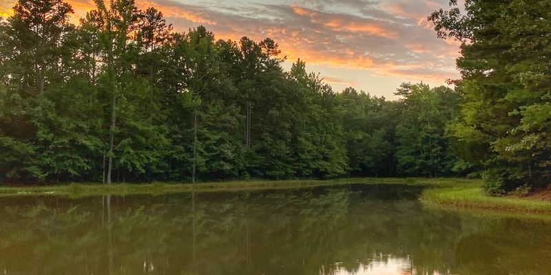 Hornsby House: 175 Vibrant Way