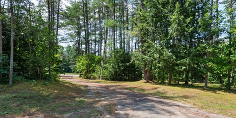 Driveway.jpg