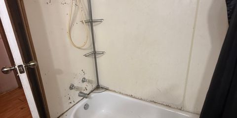 IMG_5617 (1).jpeg