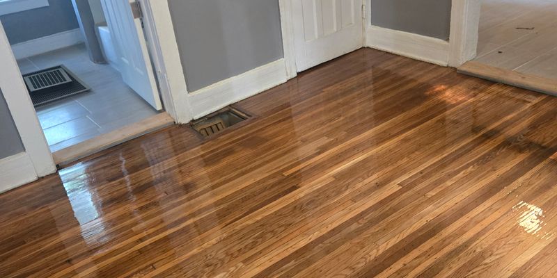 Rochester House: 243 Chamberlain St