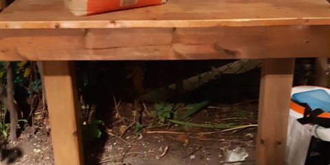 20200903_210029.jpg