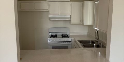 IMG_8238.jpeg