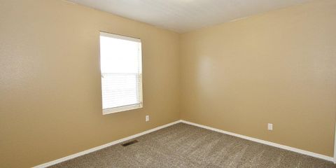 IMG_1196.jpg