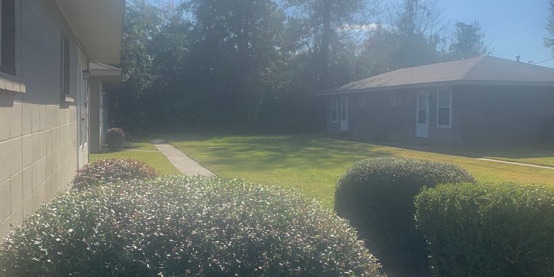 Petal Apartment: 204 Boxtel Street