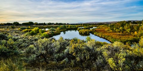 hyatt hidden lake 1.jpg