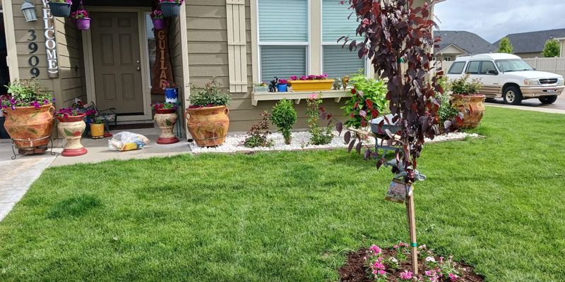 Caldwell House: 3909 Bobwhite St