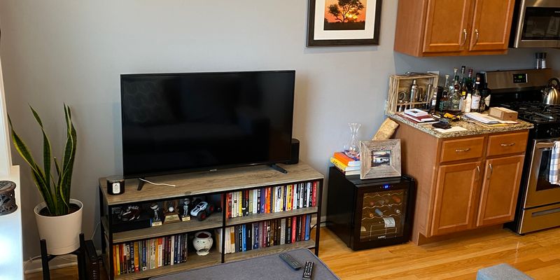 Chicago Apartment: 3633 N Elston Ave