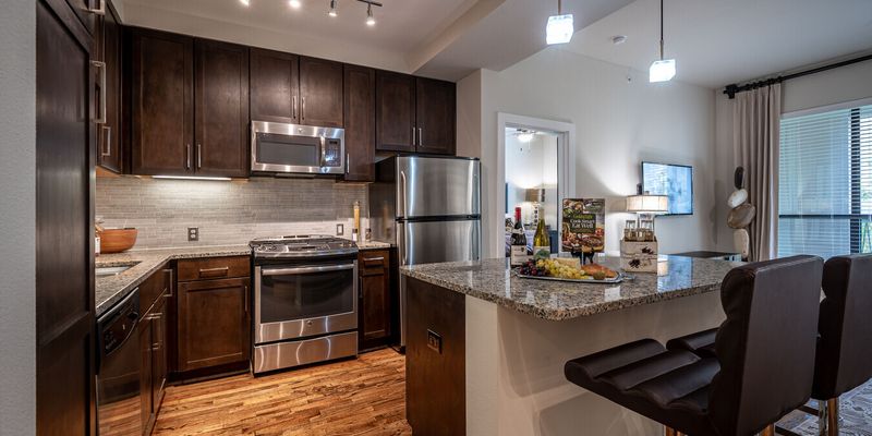 Houston Apartment: 1434 Dunlavy St