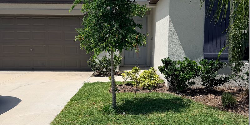 Riverview House: 12747 Weston Oaks Ln, Riverview, FL 33579