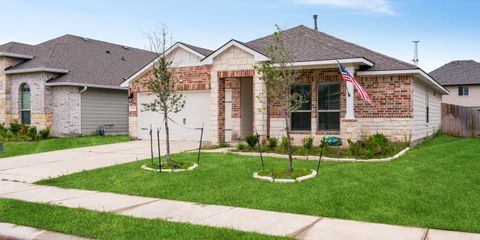 SA907556a.jpg