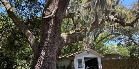 IMG_7028.jpeg