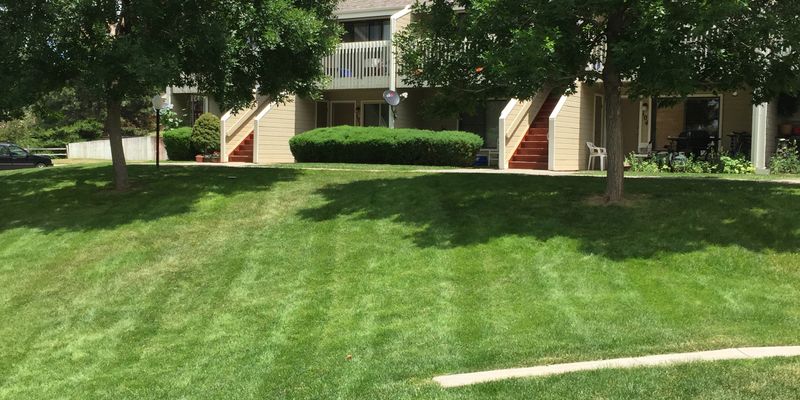 Castle Rock Apartment: 532 Oakwood Dr