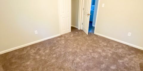 IMG_3855.jpg