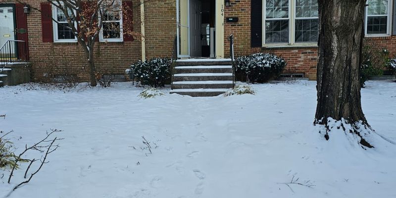 Blacksburg House: 104 Nottingham Ct