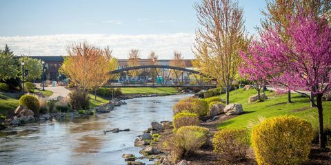 caldwell image 3.png