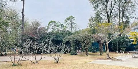 johns rd backyard.jpg