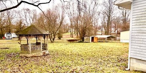 back yard.jpg