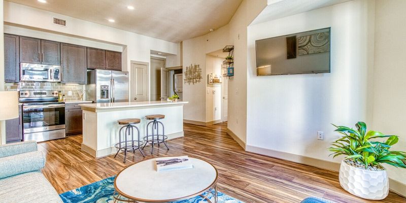 Houston Apartment: 668 W Dallas St