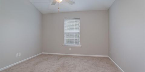 491303-13.JPG