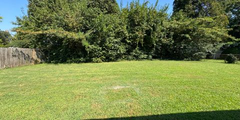 IMG_3418.jpeg