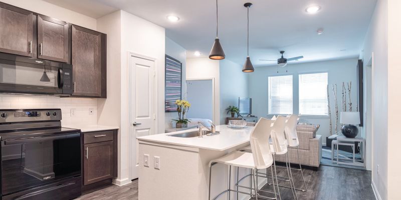 Houston Apartment: 1100 Commerce St