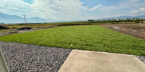 Home yArd.jpg