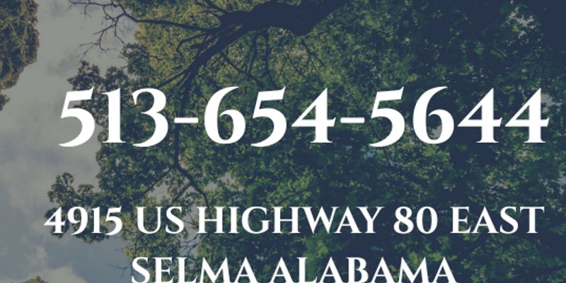 Selma House: 4915 US-80