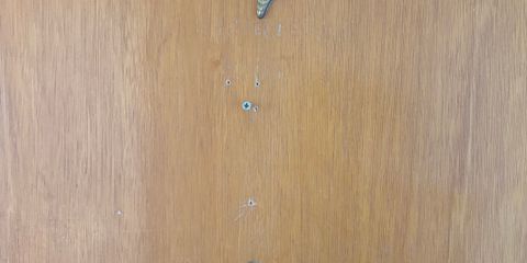 IMG_9574.jpeg